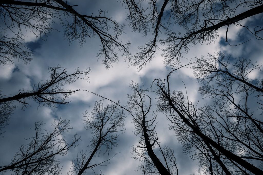 Καιρός: Χιόνια από το βράδυ στα βόρεια - Πότε θα κάνει «βουτιά» η θερμοκρασία