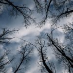 Καιρός: Χιόνια από το βράδυ στα βόρεια - Πότε θα κάνει «βουτιά» η θερμοκρασία