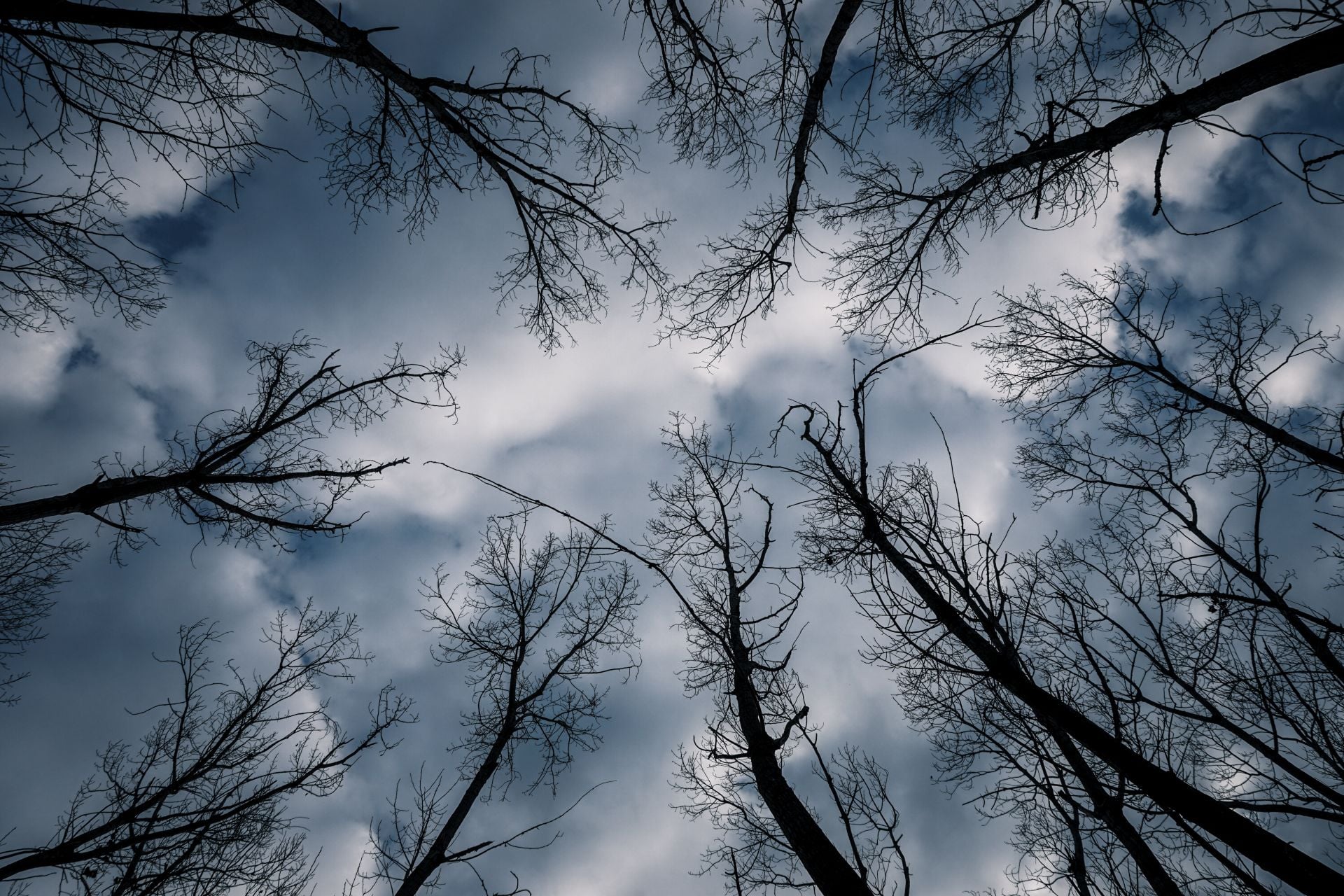 Καιρός: Χιόνια από το βράδυ στα βόρεια - Πότε θα κάνει «βουτιά» η θερμοκρασία