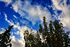 Αίθριος καιρός με λίγες νεφώσεις, η θερμοκρασία κυμαίνεται σε κανονικά επίπεδα για την εποχή