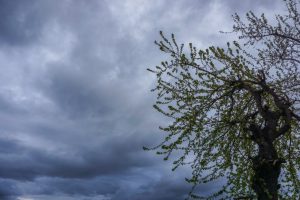 Αυξημένες νεφώσεις και τοπικές βροχές σε ορισμένες περιοχές της χώρας