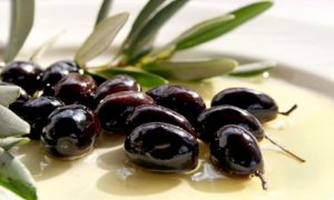 Ελαιοκομική περίοδος 2025/26 στην επιτραπέζια ελιά