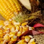 Η Κίνα σχεδιάζει αύξηση της παραγωγικής ικανότητας σιτηρών κατά 50 εκατ. τόνους