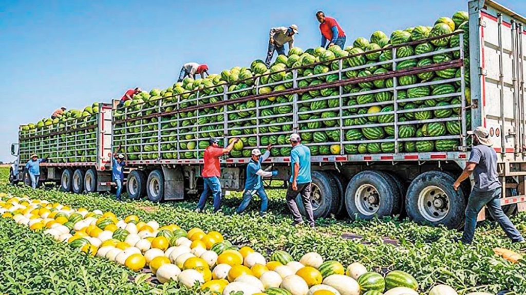 Κρατική παρέμβαση από τις ΗΠΑ για τη διάσωση του τομέα νωπών φρούτων