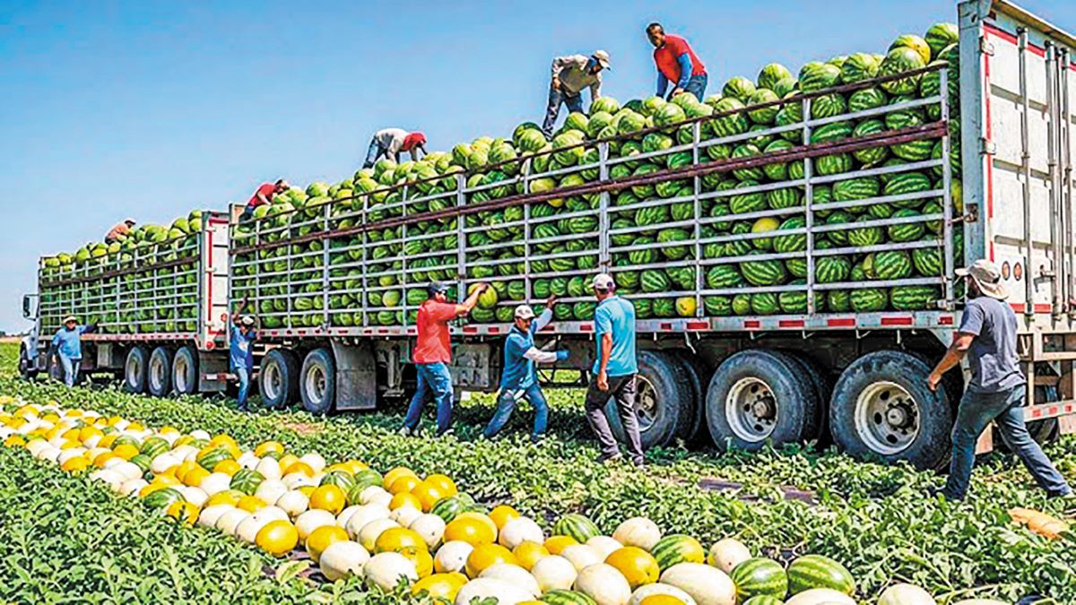 Κρατική παρέμβαση από τις ΗΠΑ για τη διάσωση του τομέα νωπών φρούτων