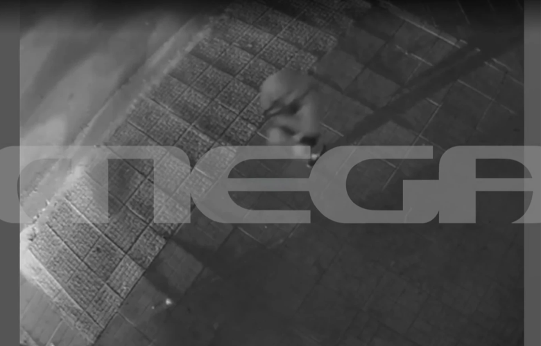 Βίντεο-ντοκουμέντο από την ακινητοποίηση του οχήματος του γιου του Μιχάλη Κατρίνη από αστυνομικούς στο Χαλάνδρι