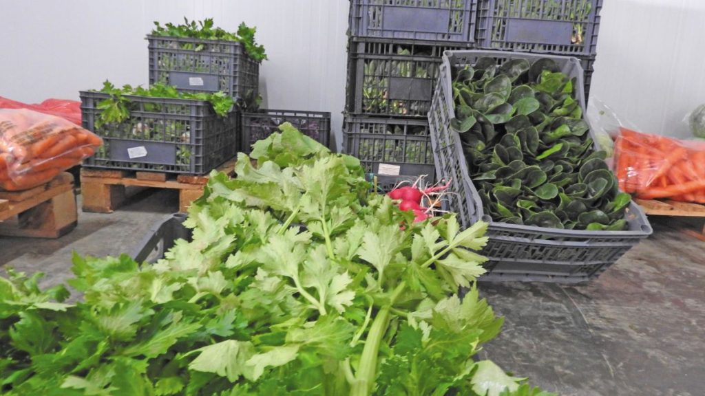 Ανάκαμψη της αγοράς κηπευτικών ενόψει Χριστουγέννων