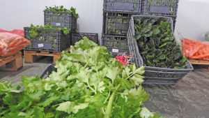 Ανάκαμψη της αγοράς κηπευτικών ενόψει Χριστουγέννων