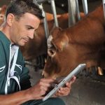 amesi-ekdosi-tis-kya-gia-to-anthygieino-epidoma-zitoun-oi-ktiniatroi-tou-ypaat-20493