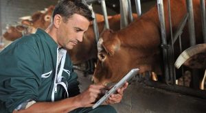 amesi-ekdosi-tis-kya-gia-to-anthygieino-epidoma-zitoun-oi-ktiniatroi-tou-ypaat-20493