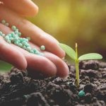 Λιπάσματα, κλίμα και ανταγωνιστικότητα: Ανησυχία στην Ευρώπη ενόψει ETS και CBAM