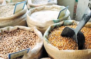 Δίκαιη προσαρμογή συνδεδεμένης στα όσπρια ζητούν οι βιοκαλλιεργητές Θεσσαλίας