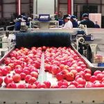 paratasi-eos-ton-aprilio-tou-2026-gia-ependytika-schedia-ston-protogeni-tomea-228048