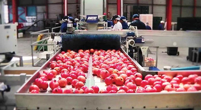 paratasi-eos-ton-aprilio-tou-2026-gia-ependytika-schedia-ston-protogeni-tomea-228048