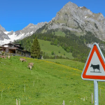 Tέλη του 2026 έκθεση του Ελεγκτικού θα αξιολογήσει αν τα κονδύλια της ΕΕ πιάνουν τόπο στις απόκεντρες περιοχές