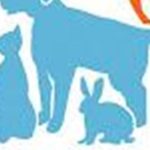 ΟΖΩΣΩΕΛ: Φιέστα 15.000€ με απευθείας ανάθεση για τα αδέσποτα