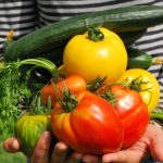 Καταληκτική ημερομηνία ανανέωσης εγγραφών στο Μητρώο Εμπόρων Νωπών Οπωροκηπευτικών