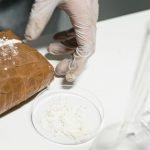 «Μπλόκο» σε πάνω από έναν τόνο κοκαΐνης από το ελληνικό FBI - Πέντε συλλήψεις