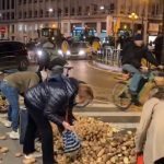 Βρυξέλλες: Μαζεύουν πατάτες από τον δρόμο μετά τις αγροτικές διαμαρτυρίες