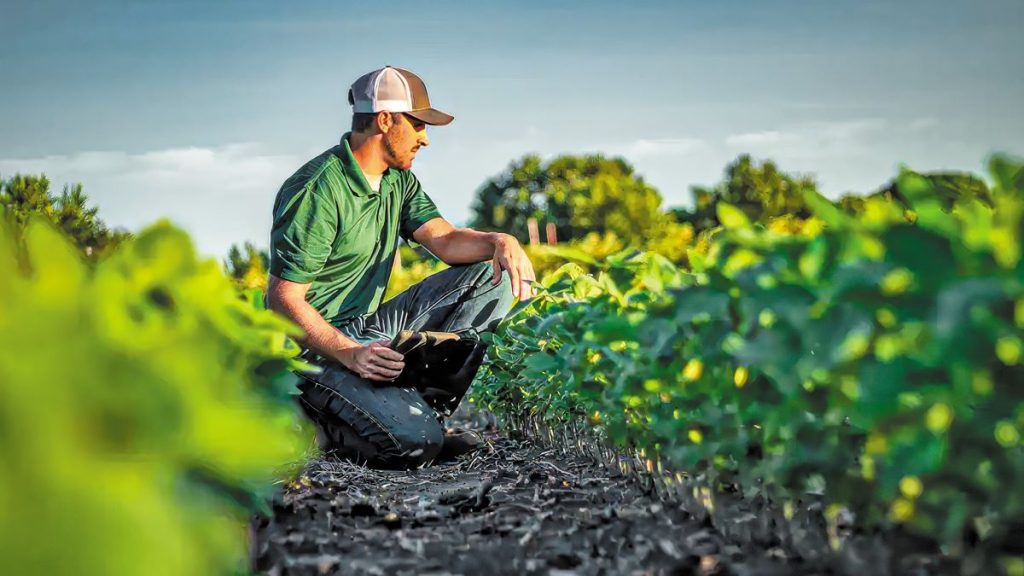 Ανανέωση γενεών στον γεωργικό τομέα της ΕΕ