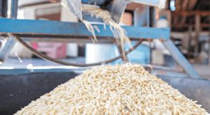 synantisi-edorel-me-ellines-evrovouleftes-gia-to-elliniko-ryzi-313326