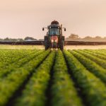 Πώς δρούσε η εγκληματική οργάνωση με τις παράνομες επιδοτήσεις του ΟΠΕΚΕΠΕ, που εξαρθρώθηκε στην Κρήτη