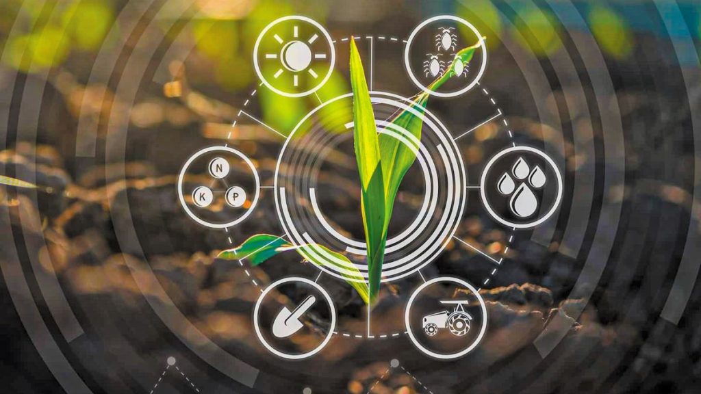 COREnet: Διαθέσιμα καινοτόμα παραδείγματα συμβουλευτικής στην Ευρώπη