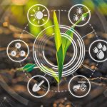 COREnet: Διαθέσιμα καινοτόμα παραδείγματα συμβουλευτικής στην Ευρώπη