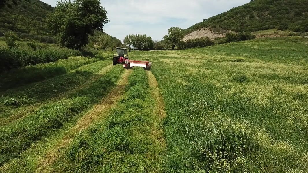 Λίγες ώρες για διορθώσεις σε χωράφια «κοφτολίβαδα» «αγρανάπαυση» ώστε να πληρωθεί τσεκ Δεκέμβριο