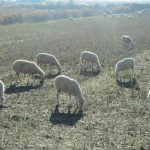 odigies-gia-tin-ypovoli-enstaseon-stin-exisotiki-tou-2025-32891