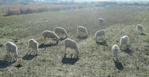 odigies-gia-tin-ypovoli-enstaseon-stin-exisotiki-tou-2025-32891