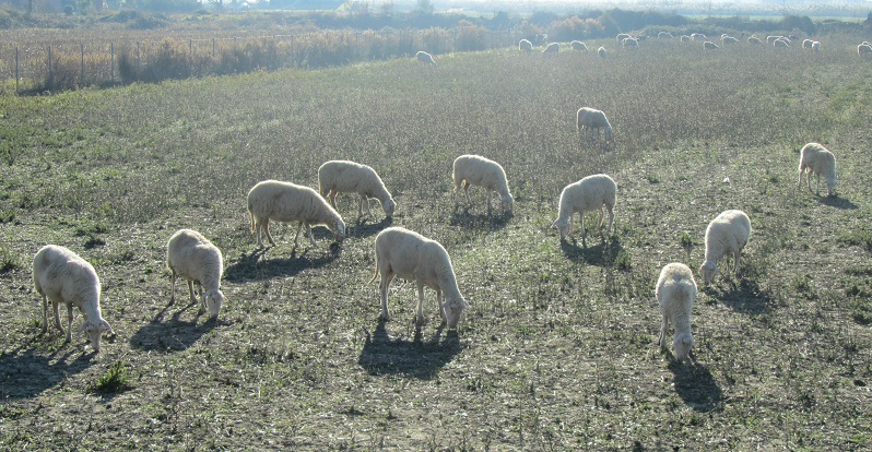 odigies-gia-tin-ypovoli-enstaseon-stin-exisotiki-tou-2025-32891