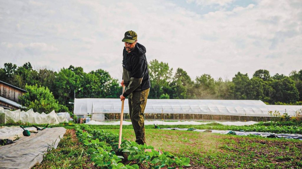 IFOAM Organics Europe: Ουσιαστική αναγνώριση του ρόλου των βιολογικών ζητά η κλαδική οργάνωση-ομπρέλα