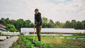 IFOAM Organics Europe: Ουσιαστική αναγνώριση του ρόλου των βιολογικών ζητά η κλαδική οργάνωση-ομπρέλα