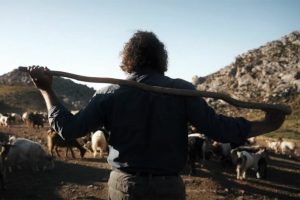 Στάση αναμονής ως 29 Δεκέμβρη για κινητοποιήσεις αποφάσισε ο Κτηνοτροφικός Σύλλογος Ν. Χανίων