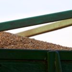 Η Τουρκία μειώνει τις εξαγωγές σκληρού σίτου – Κερδισμένοι Καναδάς και ΗΠΑ