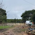 Ζάκυνθος - επίθεση - πίτμπουλ