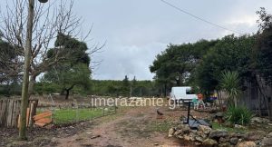 Ζάκυνθος - επίθεση - πίτμπουλ