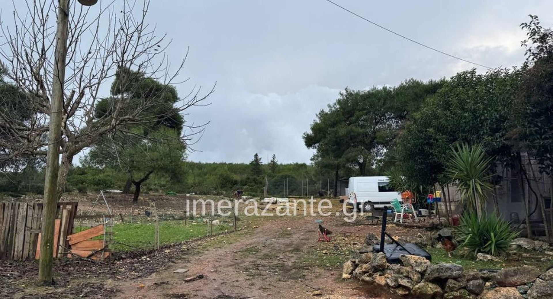 Ζάκυνθος - επίθεση - πίτμπουλ