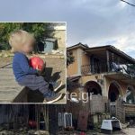 Τραγωδία στη Ζάκυνθο: «Μάζεψα το σκυλί ετοιμοθάνατο και μου σκότωσε τον γιο»