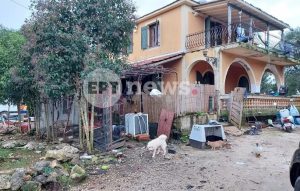 Ανείπωτη τραγωδία στη Ζάκυνθο: Συγκλονίζει ο θάνατος του 2χρονου – «Δεν μπορούσαν να πάρουν το παιδί από τα δόντια του πίτμπουλ»