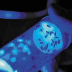 Biocentis: Εξασφάλισε χρηματοδότηση 19 εκατ. δολαρίων για να «επανεφεύρει» τον έλεγχο εντόμων με βιολογικές λύσεις