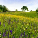 Βοσκότοποι χωρίς ζώα και έλεγχοι χωρίς ελέγχους, ρωτά η ΠΟΓΕΔΥ