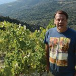 Άριστη πρώτη ύλη το μυστικό της επιτυχίας για το Οινοποιείο Παπαργυρίου