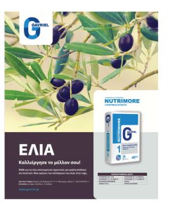 Σε μία δόση λίπασμα στους ξερικούς ελαιώνες, άλλη η συνταγή στα αρδρευόμενα - Ελαίας Καρπός