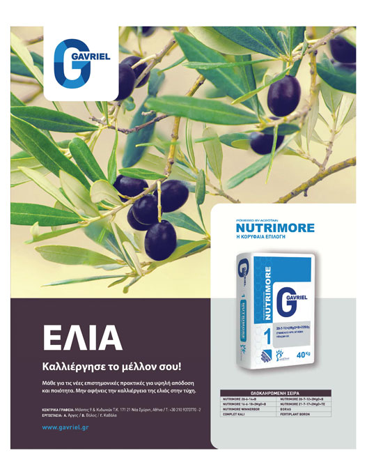 Σε μία δόση λίπασμα στους ξερικούς ελαιώνες, άλλη η συνταγή στα αρδρευόμενα - Ελαίας Καρπός