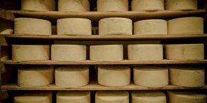 Εκτός προστασίας με Mercosur έμεινε η Γραβιέρα Νάξου και άλλα αγροτικά προϊόντα - Τυροκόμος