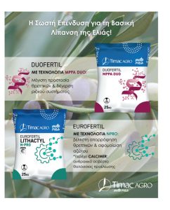 Εξειδικευμένες λύσεις Timac Agro | ΛΥΔΑ για αύξηση των αποδόσεων της ελιάς - Ελαίας Καρπός