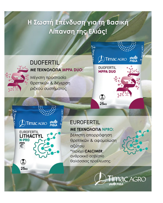 Εξειδικευμένες λύσεις Timac Agro | ΛΥΔΑ για αύξηση των αποδόσεων της ελιάς - Ελαίας Καρπός