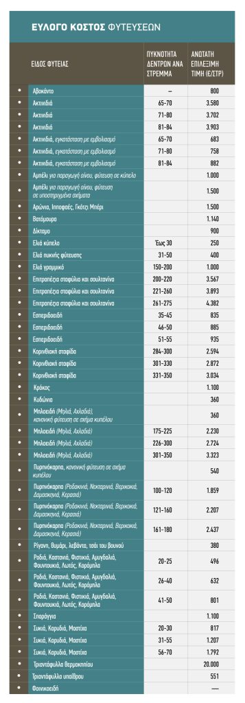 Πριμ 1.000 ευρώ στην ελιά και 3.900 ευρώ το στρέμμα στα ακτινίδια για φυτεύσεις